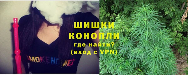крисы Медногорск