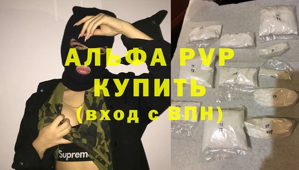 крисы Медногорск